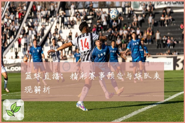 篮球直播：精彩赛事预告与球队表现解析